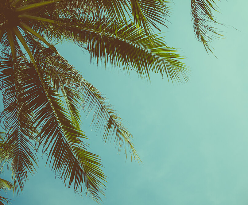 ΑΚΤΗ ΤΟΥ ΗΛΙΟΥ