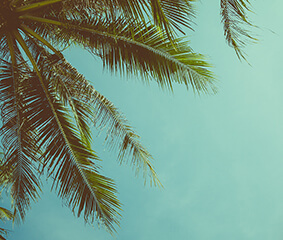 ΑΚΤΗ ΤΟΥ ΗΛΙΟΥ