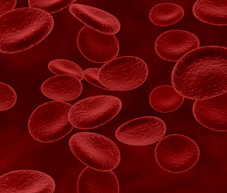 Αιμοποίηση και Αιμοθεραπεία