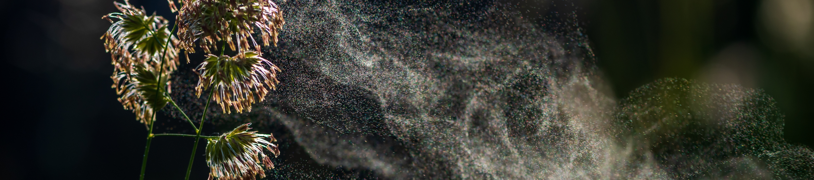 Άνοιξη και αλλεργίες