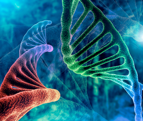 Ανοσοθεραπεία