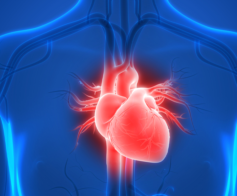 Καρδιομεταβολικό Σχολείο Metropolitan: για δεύτερη συνεχή χρονιά τεκμηριωμένη & εξειδικευμένη γνώση Καρδιομεταβολικής Ιατρικής