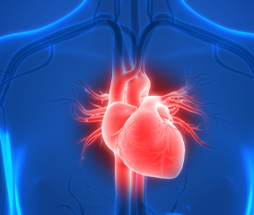 Καρδιομεταβολικό Σχολείο Metropolitan: για δεύτερη συνεχή χρονιά τεκμηριωμένη & εξειδικευμένη γνώση Καρδιομεταβολικής Ιατρικής