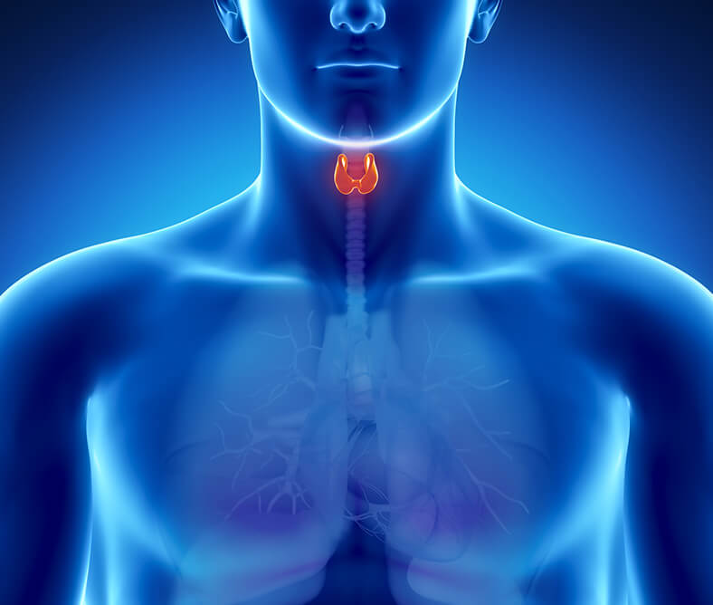 Κέντρο Θυρεοειδούς Metropolitan: εκεί όπου εµπειρία και καινοτοµία συναντιούνται