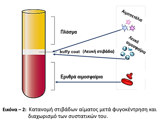 blog spuropolos img 2