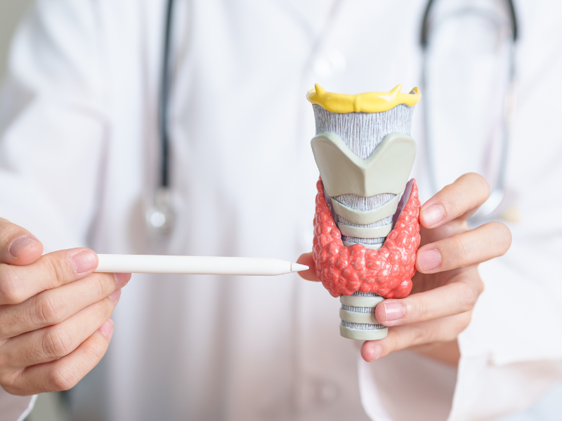 Χρειάζεται αγωγή με θυροξίνη δια βίου στους πάσχοντες από θυρεοειδή;