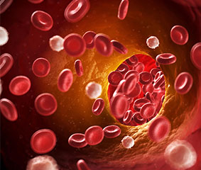 Αιμοποίηση - Αιμοθεραπεία Νο.4, Διαταραχές Λευκών Αιμοσφαιριών
