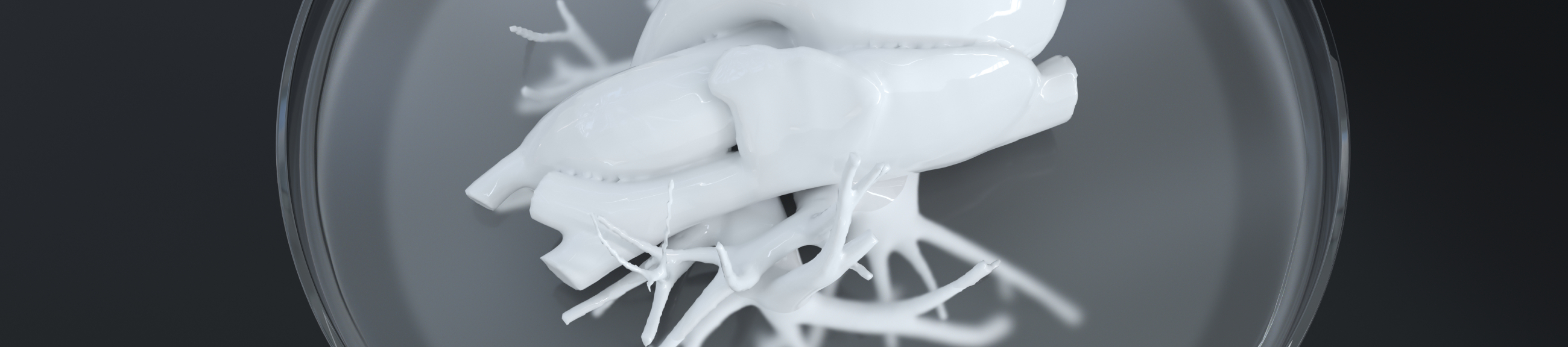 3D βιοεκτυπώσεις ανθρωπίνων ιστών & οργάνων: από τη σφαίρα της φαντασίας στη σφαίρα της πραγματικότητας