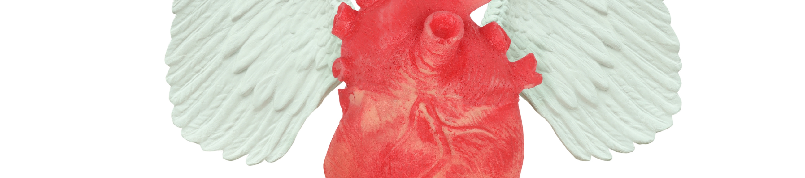 Η καρδιά… λόγω της ημέρας