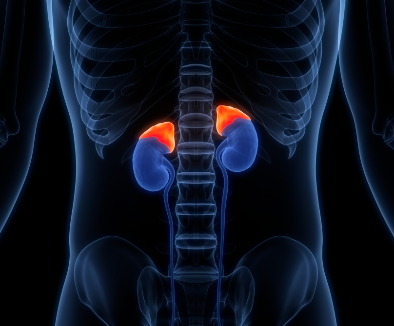 Λαπαροσκοπική αντιμετώπιση των όγκων των επινεφριδίων