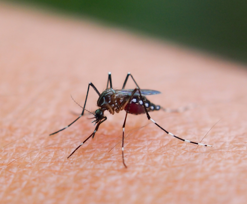 Ο ιός του Δυτικού Νείλου