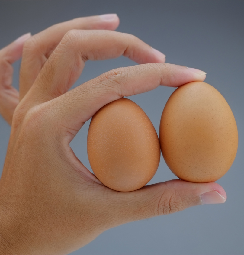 Όρχεις: η σημασία του διαφοράς μεγέθους και ύψους μεταξύ τους και πώς μπορείτε να την εντοπίσετε…