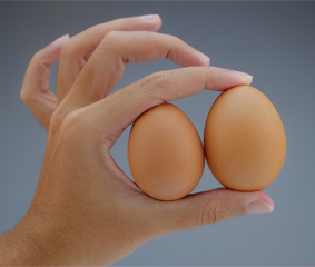 Όρχεις: η σημασία του διαφοράς μεγέθους και ύψους μεταξύ τους και πώς μπορείτε να την εντοπίσετε…