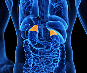 Λαπαροσκοπική αντιμετώπιση των όγκων των επινεφριδίων