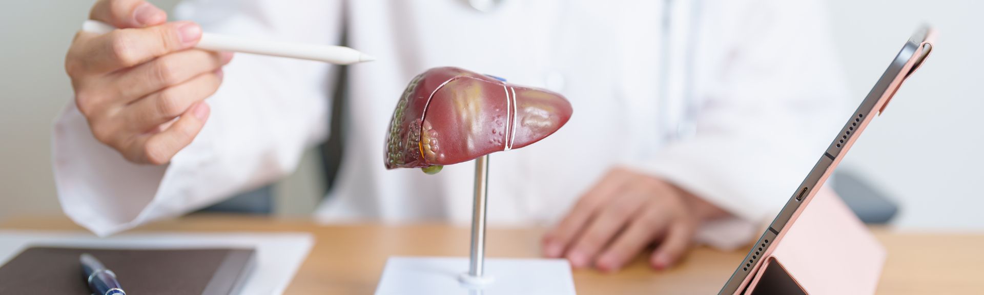 Liver – Biliary System 