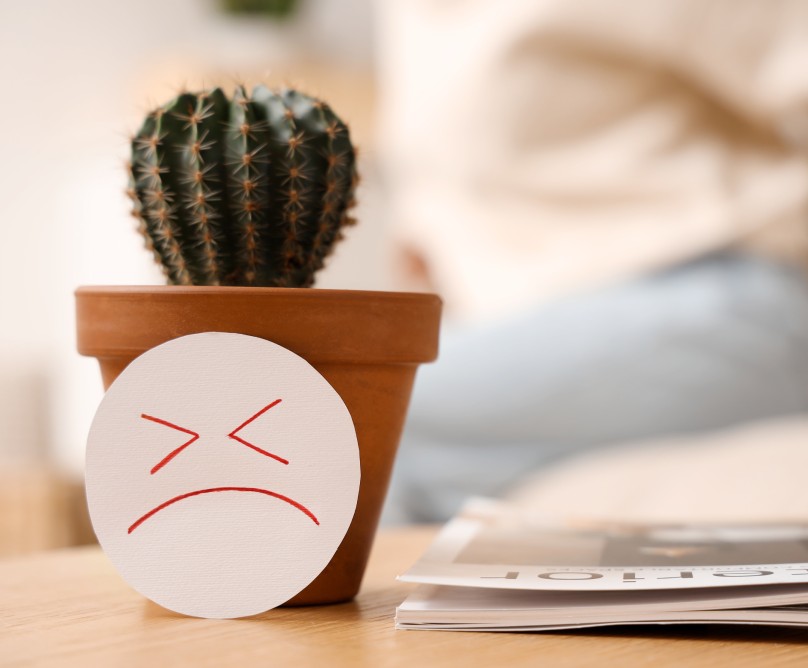 Αιμορροΐδες: Το μικρό πρόβλημα που γίνεται μεγάλο και ταλαιπωρεί χιλιάδες ανθρώπους