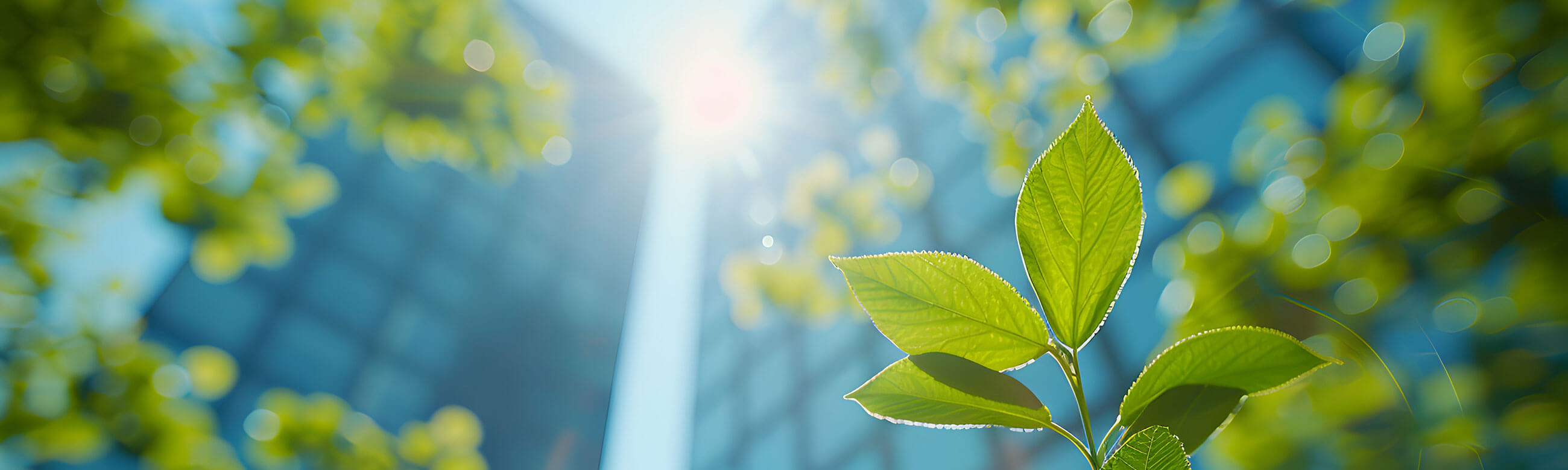  Περιβάλλον