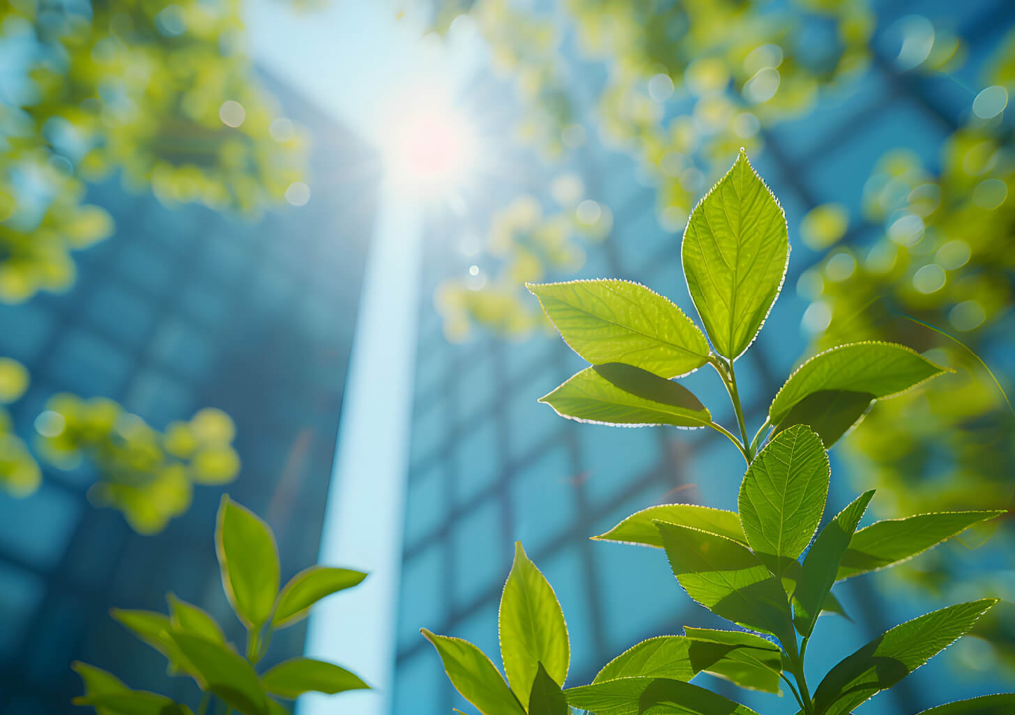  Περιβάλλον