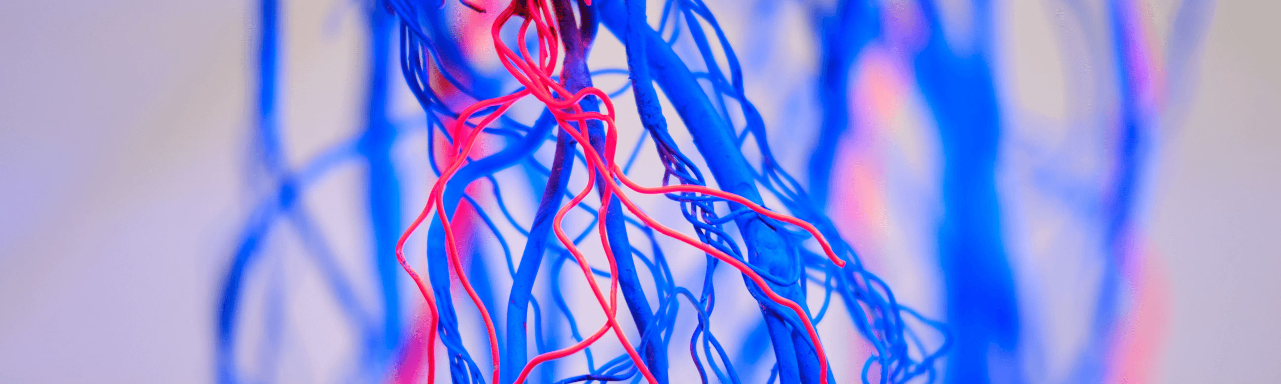 Αγγειοχειρουργική