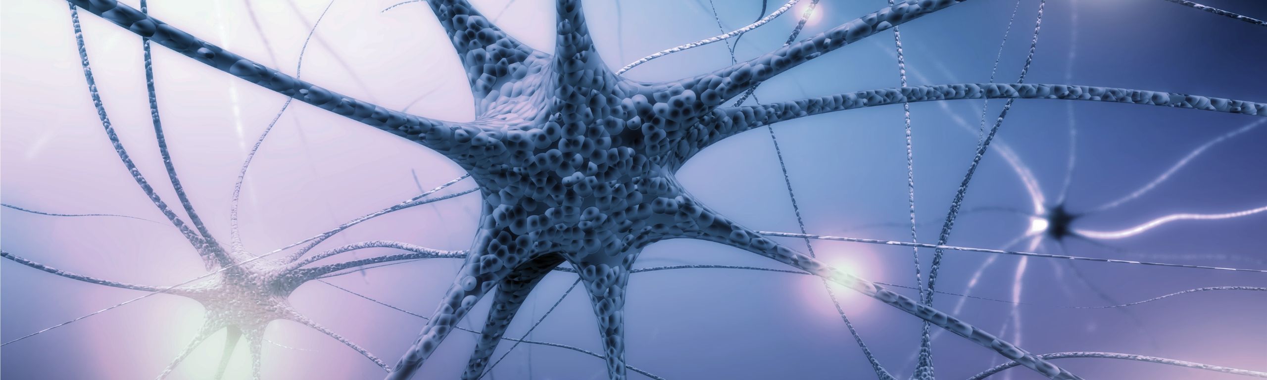 Central Nervous System