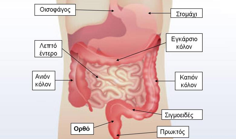 Καρκίνος ορθού