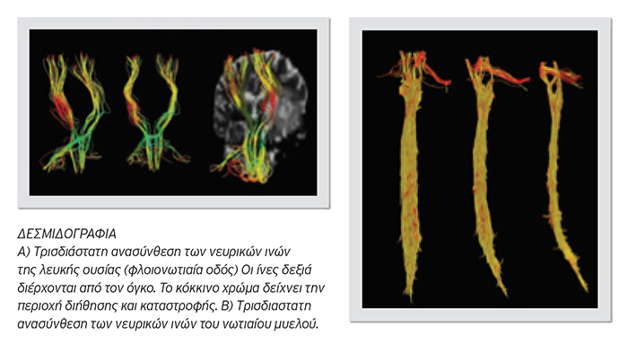 neuroogkologikh klinikh 9 web