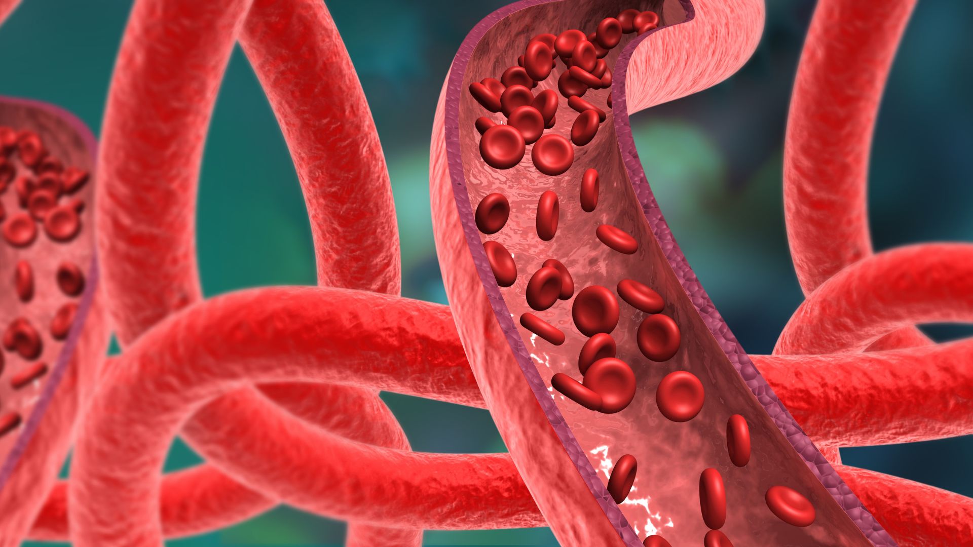 Αγγειακές Επεμβάσεις